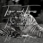 tigerandtigress onlyfans leaked picture 2